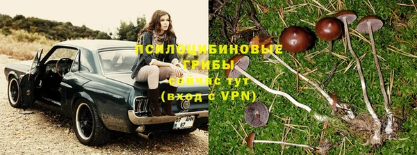 МДПВ Нефтегорск