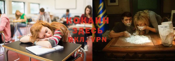 гидра Нея