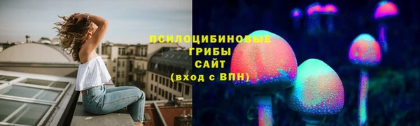 гидра Нея