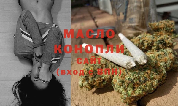 МДПВ Нефтегорск