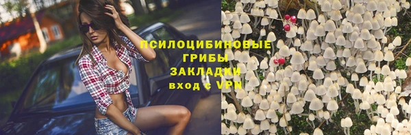 гидра Нея