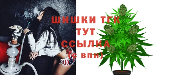 гидра Нея