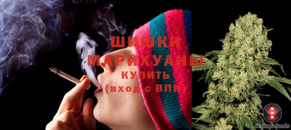 МДПВ Нефтегорск