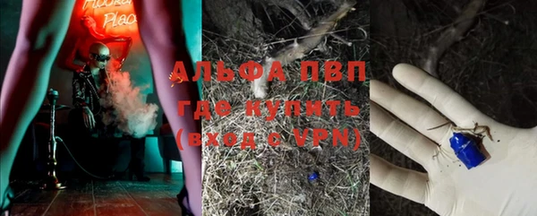 гидра Нея