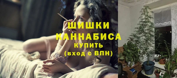 гидра Нея