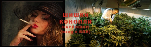 МДПВ Нефтегорск