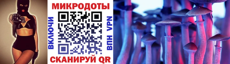 магазин продажи наркотиков  Суоярви  Псилоцибиновые грибы Cubensis 